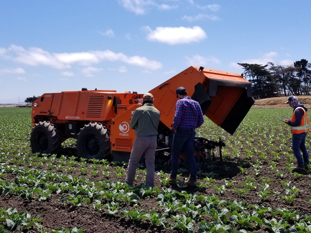 Growers looking at FarmWise robot in a cauliflower field